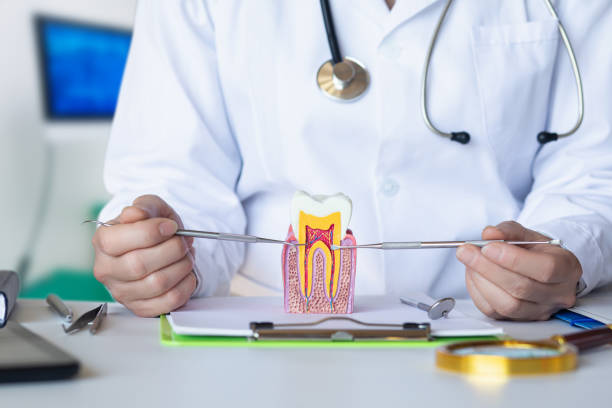 Best Emergency Root Canal Treatment in Mountain Green, UT